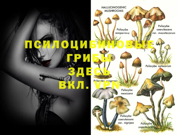 кристаллы Алексеевка