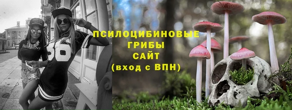 ГАЛЛЮЦИНОГЕННЫЕ ГРИБЫ Алзамай