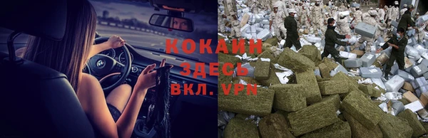 ГАЛЛЮЦИНОГЕННЫЕ ГРИБЫ Алзамай