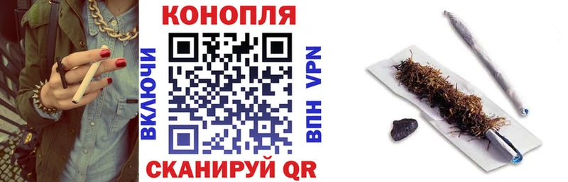 Бошки Шишки AK-47 Андреаполь
